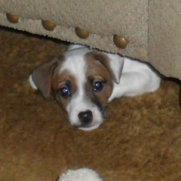 Thanks for shopping my closet!!! - Picture 14 of 16